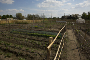 Una centralina registra l'umidità del terreno e le condizioni meteo per garantire la corretta irrigazione automatizzata degli orti (ph. Umberto Costamagna). 