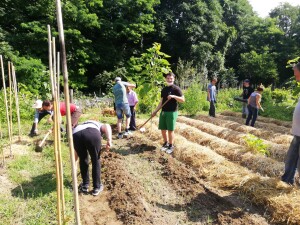 Volontari al lavoro negli Orti Generali