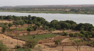 Gli orti delle donne nella regione di Niamey